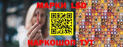 apvp Бийск