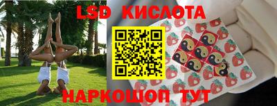 apvp Бийск