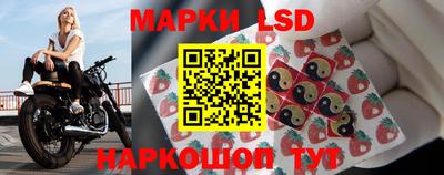 apvp Бийск