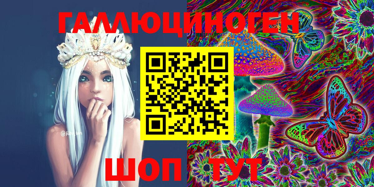 Галлюциногенные грибы Psilocybe Казань