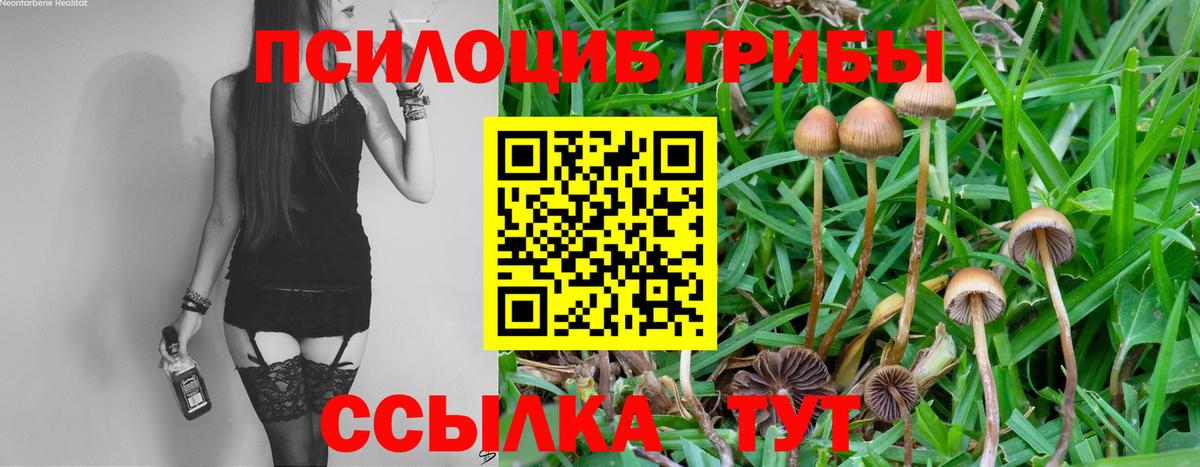 Галлюциногенные грибы прущие грибы  Вход с VPN  Казань  Псилоцибиновые грибы ЛСД 